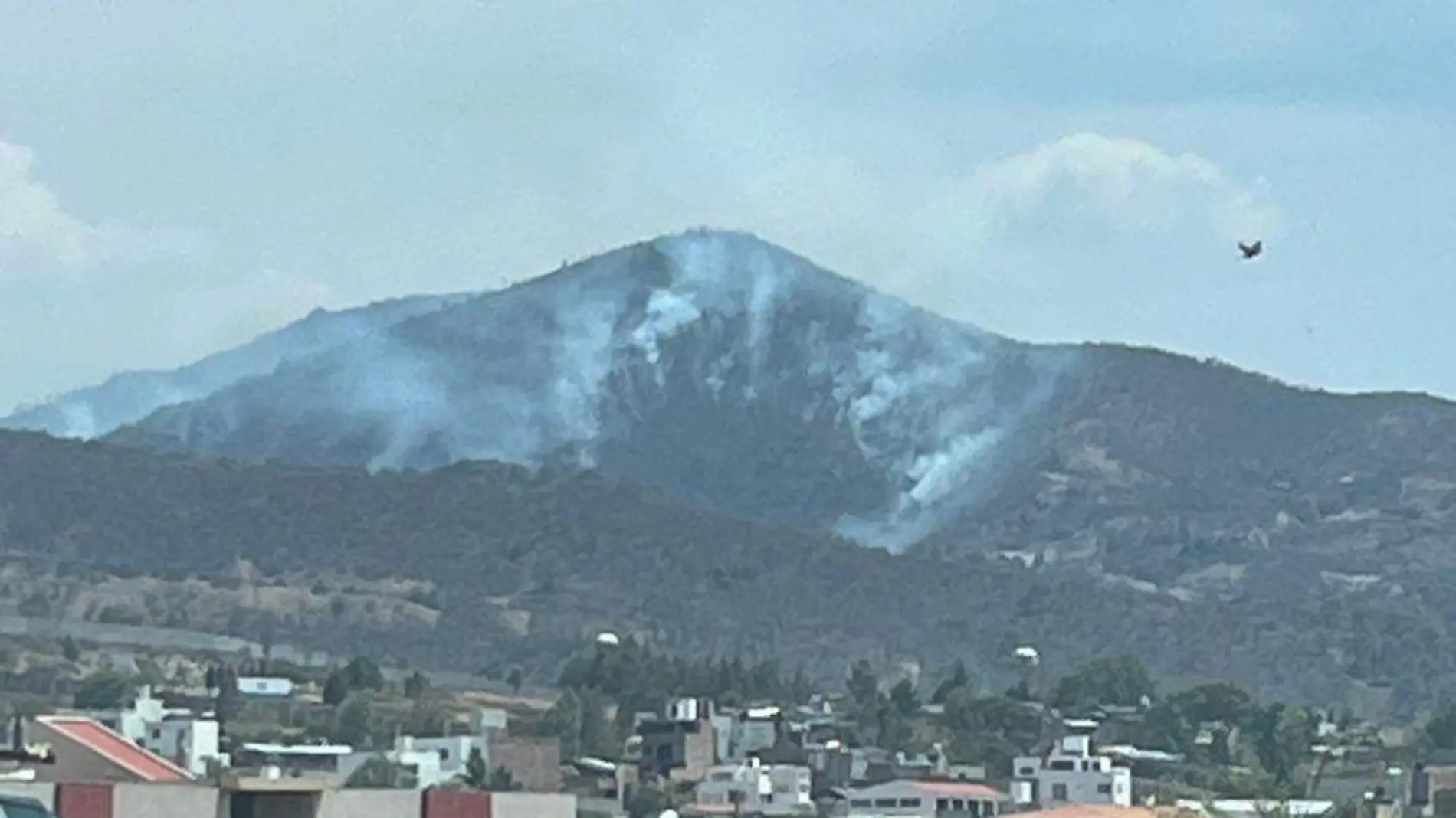 Incendio en San Miguel del Monte